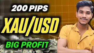 200 Pips In XAU/USD | BIG PROFIT | 0.2 Magnet Strategy | Forex Trading
