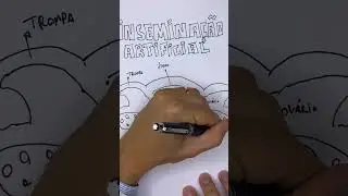 TUDO SOBRE: INSEMINA&Ccedil;&Atilde;O ARTIFICIAL, o que &eacute; , como fazer  #shorts
