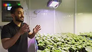 Accelerate Crop Breeding: Live Demo of Nexsel's Speed Breeding Facility