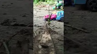 #mini bash  sabhi gadhi ko takar marte hua #love #funny #sortvarl video