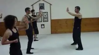 Kerry Cameraworks, WingChun Kungfu, Corfu, 2nd form Traditional