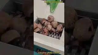 Powerful Coconut Shell Shredder | High-Efficiency Biomass Waste Recycling Machine Demonstration