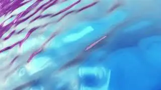 Liquid 4k Wash