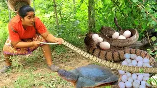 survival skills - Women Catch Snake egg and Turtle for  food  - Cooking Snake egg Eating delicious