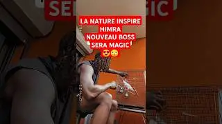 QUAND LES OISEAUX INSPIRENT HIMRA😳😍 LA M&Eacute;LO ⚔️ #himra #rapivoire #didib #abidjan #rapfr #cotedivoire