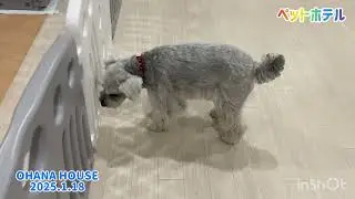ペットホテル上新屋店