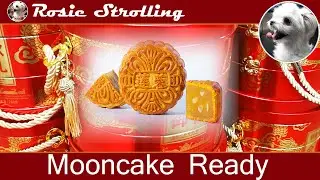 🇨🇦 Mooncakes wait for Mid-Autumn Festival @Toronto 啥价？路过华人超市谗月饼 惊讶中秋气氛浓郁 各式月饼琳琅满目