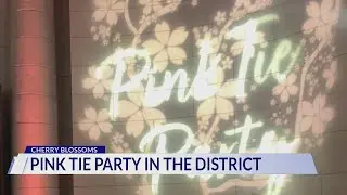 Pink Tie Part in DC celebrates cherry blossoms