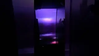 ETERNALS &ldquo;post end credit scene leaked&rdquo;