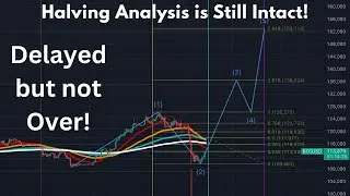 Important Bitcoin Market Update in Tamil - Crypto Tamil