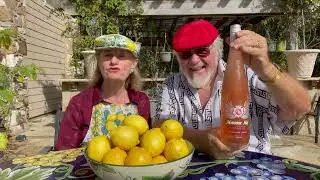Wine Pairing for Dishes with Lemons