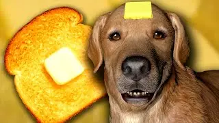 Butter Dog