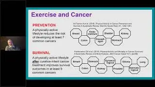 Exercise for Improving Cancer Treatment - PhD Scholarships