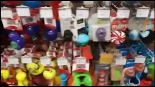 Зоопокупки из petcity