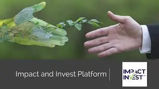 Impact & Invest | Platform Webinar 2020