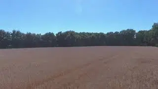 Claas Lexion 750 570 tt Terra Trac Getreide Ernte 2018 Dreschen Harvesting