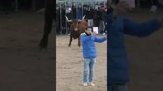 moustruosos los capones de Arriazu en moncada