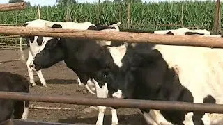 China welcomes competition from American beef imports