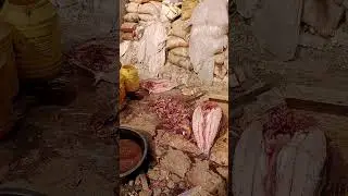 @শুঁটকি মাছের বাজার@(@Bangal Fish@)#Video#Short#Please Subscribe My channel।।।।।।।