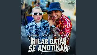 Si Las Gatas Se Amotinan