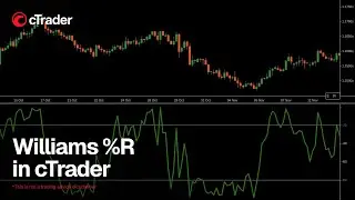 Williams %R in cTrader - how it works and how to use it