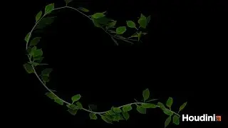 Houdini應用篇5-藤蔓的生長(ivy growth with subtitle)