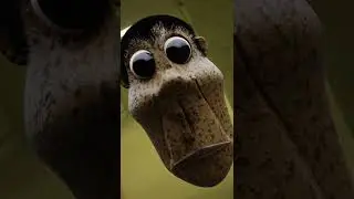 Obunga Backrooms 3D Model #shorts #obunga #memes #backrooms