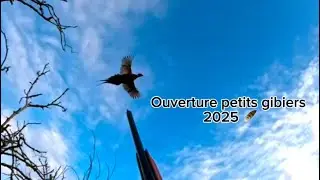 Ouverture petits gibiers 2025
