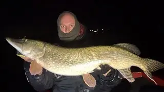 Magic Pelagic : mijn beste sessie ooit  met meerdere metervissen Pelagisch vissen