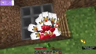 farming the new cherry blossom trees/ reunited with wee jimmy