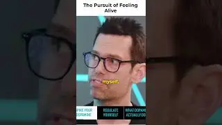 The Pursuit of Feeling Alive Andrew Huberman Podcast || Joe Rogan