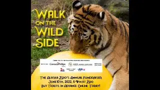 AK Zoo Walk on the Wild Side