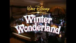 Disney Wonderland - 