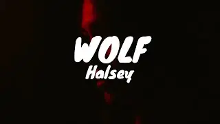 Halsey - Wolf (Tradução)