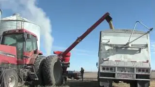 REM GrainVac VRX | Dust Collector