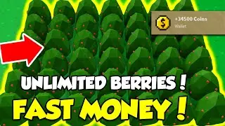 *NEW* FAST MONEY METHOD (FREE) *UNLIMITED BERRY BUSHES* ROBLOX SKY BLOCK