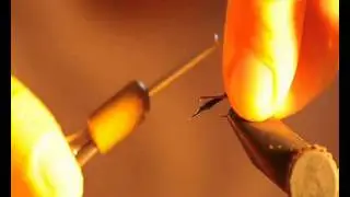 Montage Mouche - Cerques et corps