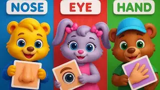 Body parts names song | learn parts of body | learning body parts for toddlers song | english rhymes