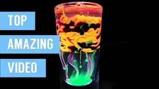 THE MOST AMAZING THINGS IN THE WORLD PLEASANT VIDEO