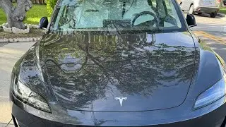 2024 Model 3 Performance Initial Impressions