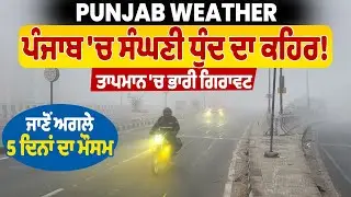 Punjab Weather | ਪੰਜਾਬ 'ਚ ਸੰਘਣੀ ਧੁੰਦ ਦਾ ਕਹਿਰ! ਤਾਪਮਾਨ 'ਚ ਭਾਰੀ ਗਿਰਾਵਟ, ਜਾਣੋਂ ਅਗਲੇ 5 ਦਿਨਾਂ ਦਾ ਮੌਸਮ