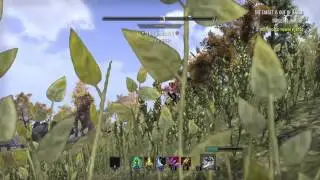 Eso ledgendary Templar 1million ways to not play eso lol
