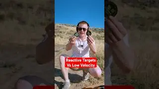 Reactive Targets Vs Low Velocity Rounds? (Firebird 65 Targets) *Discount Code* #gun #pewpew #guns