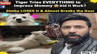 Tiger Tries EVERYTHING to Impress Mommy 😱 Did It Work?! | Simba LOSES It & Almost Breaks the Door