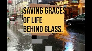 Saving Graces of Life Behind Glass (Boo Radley Had the Right Idea)- Slam/Spoken Word Poem