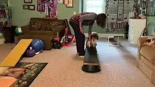 Ruby Do More With Your Dog Balance Beam Tricks April 9, 2024
