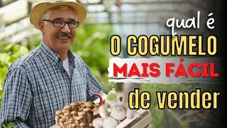 Qual é o cogumelo mais fácil de vender?
