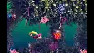 DKC 3 Fish Food Frenzy