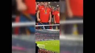 Usa vs Wales (1-1) highlights (fan reaction )