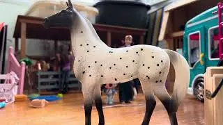 How to tack up your horse ! western & english ! | Pine hollow stables |